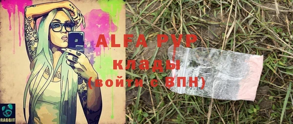 шишки Куйбышев