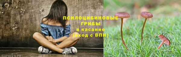 шишки Куйбышев