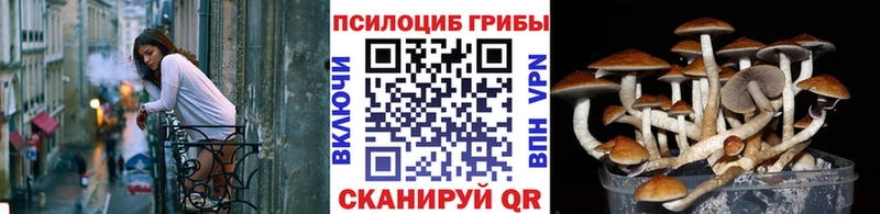 Псилоцибиновые грибы Magic Shrooms  Урус-Мартан 