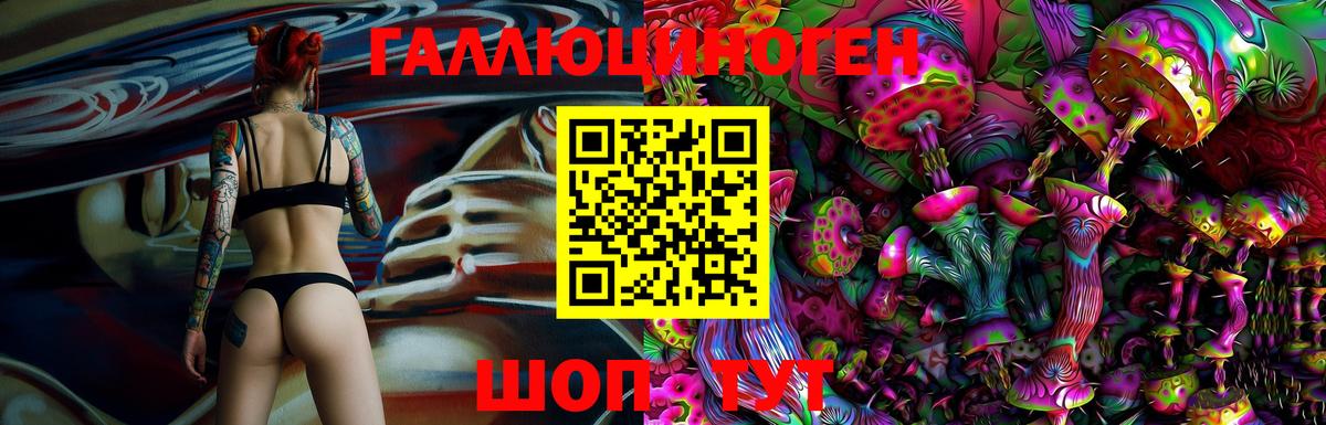 Урус-Мартан  Галлюциногенные грибы мицелий  Вход с VPN 