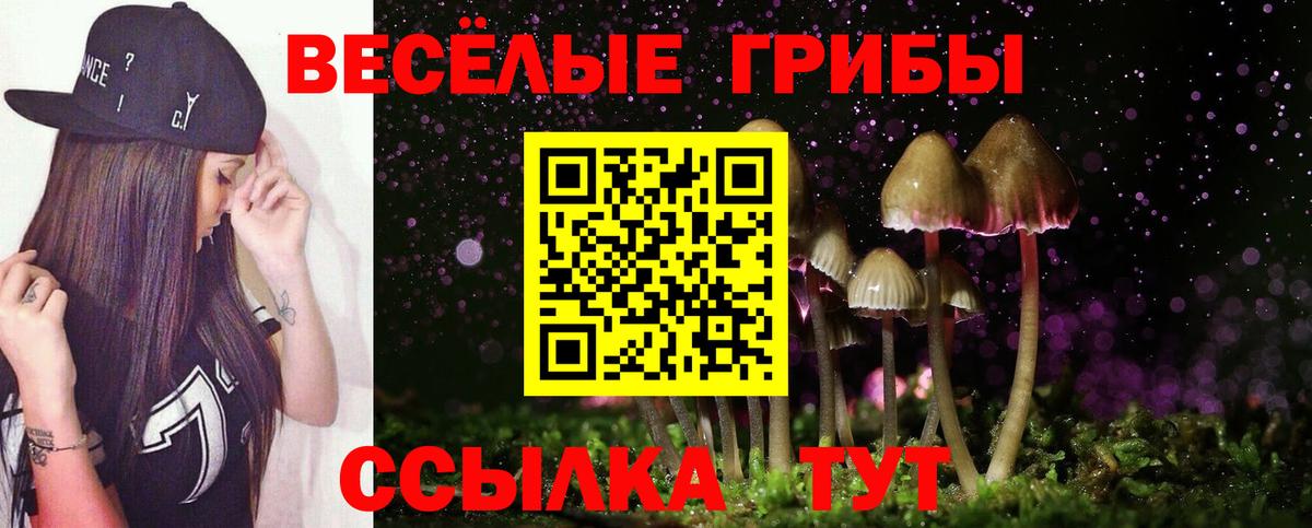 Галлюциногенные грибы Psilocybine cubensis Урус-Мартан